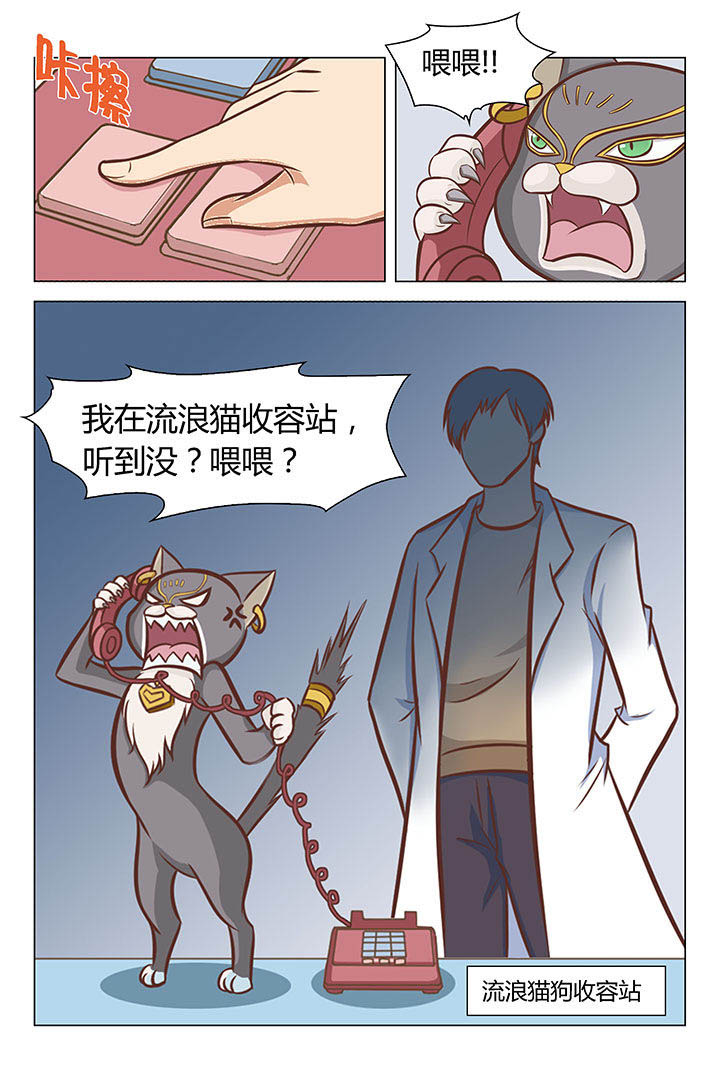 第17章：0