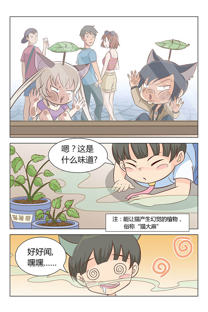 第8章：0