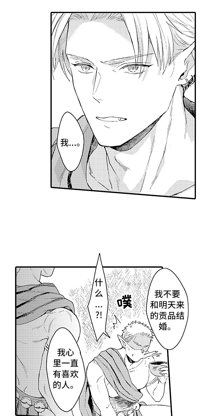 第6章：贡品3