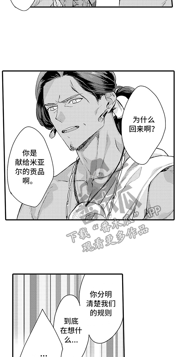第27章：规则1