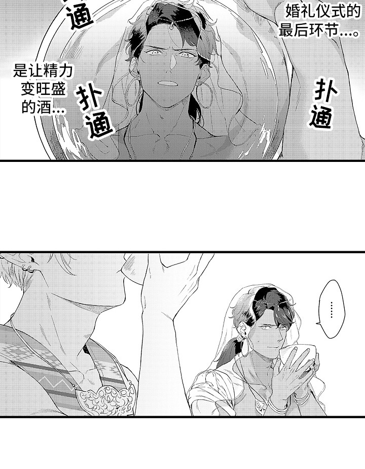 第7章：婚礼15