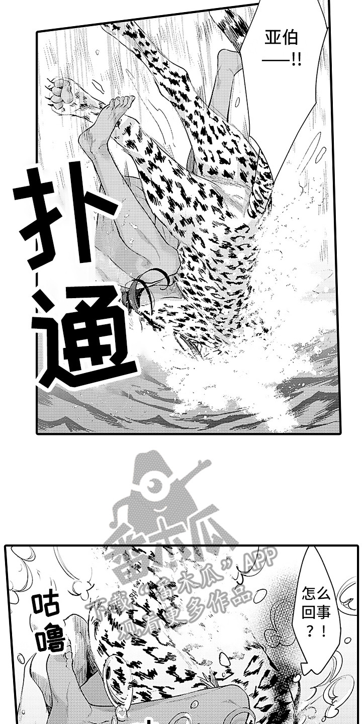 第23章：配合12
