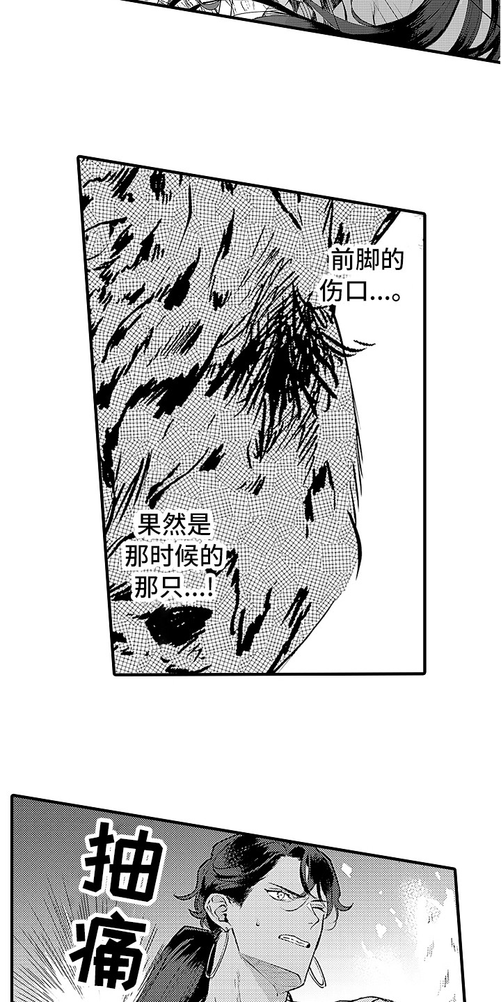 第22章：曾经那只11