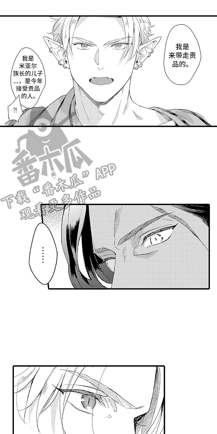 第7章：婚礼5