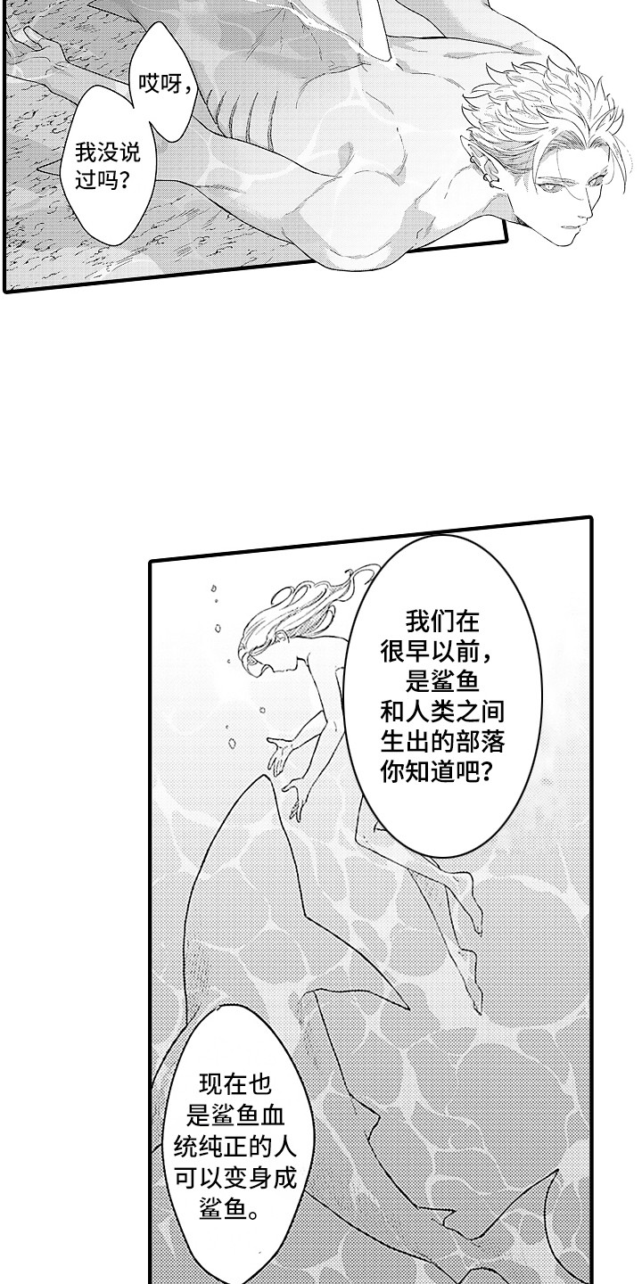 第11章：变身鲨鱼13