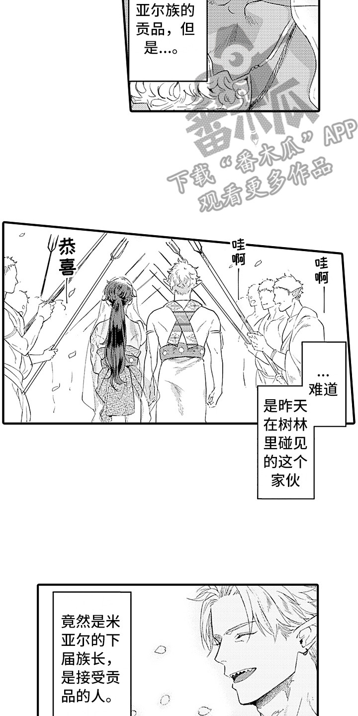 第6章：贡品10