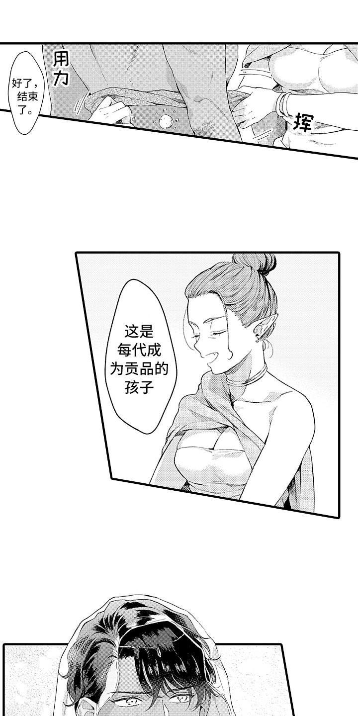 第6章：贡品7