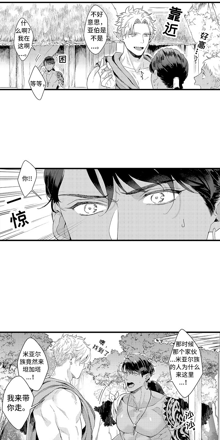 第6章：贡品13