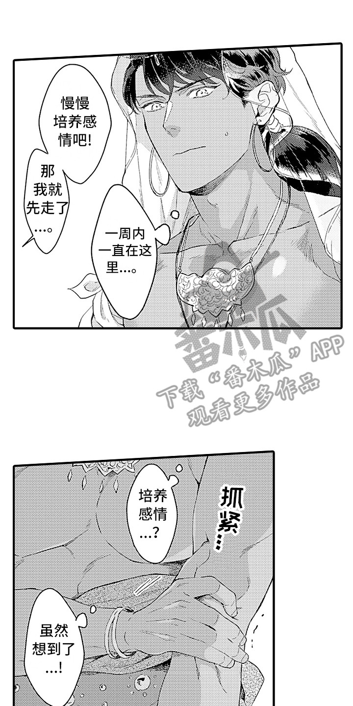 第8章：觉悟10