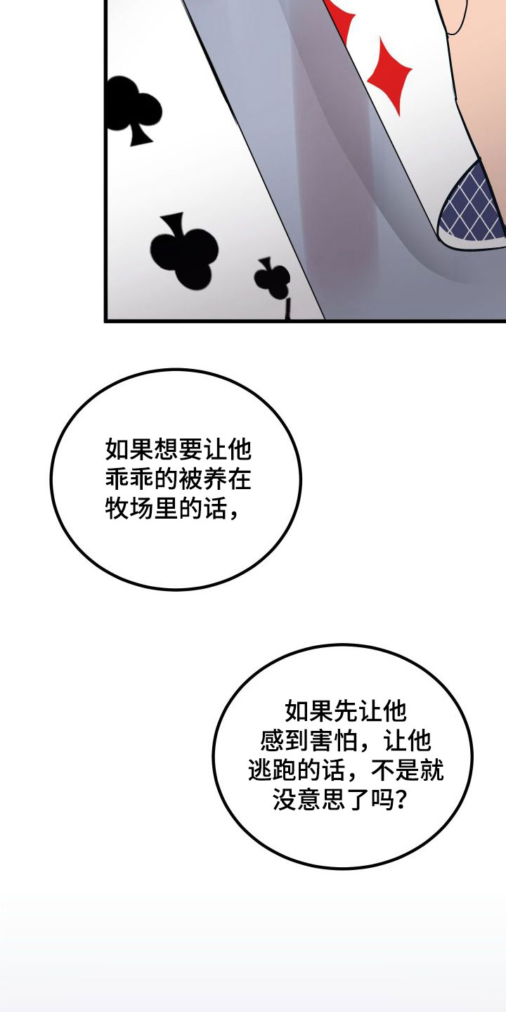 第42章：牧羊人12