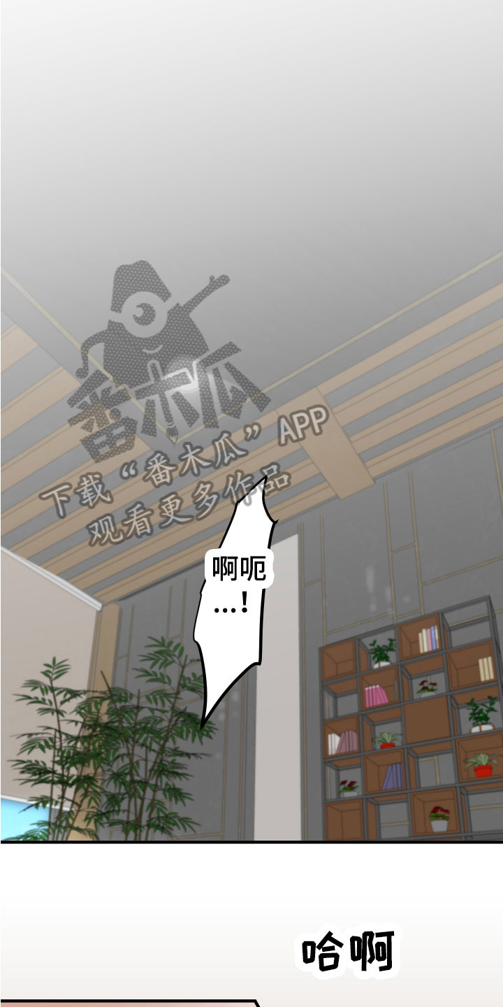 第16章：无法说明12