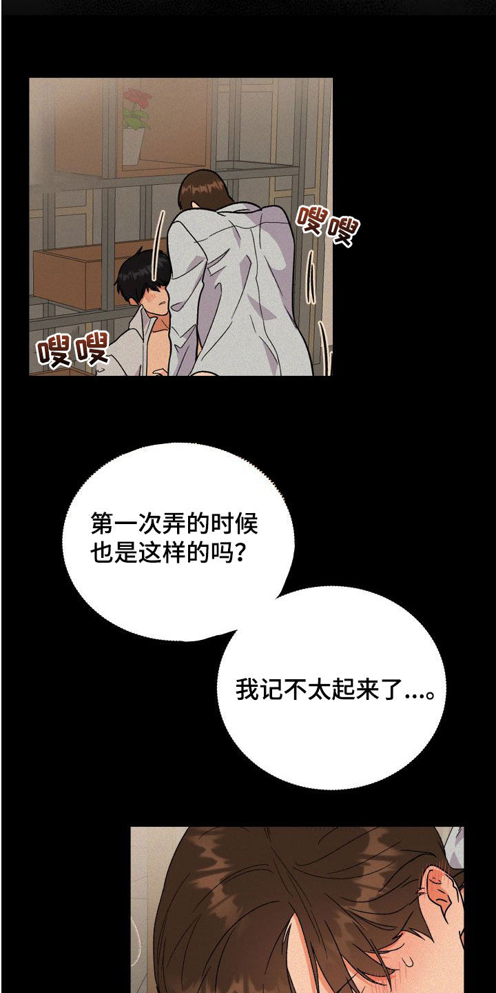 第39章：诚实的类型6