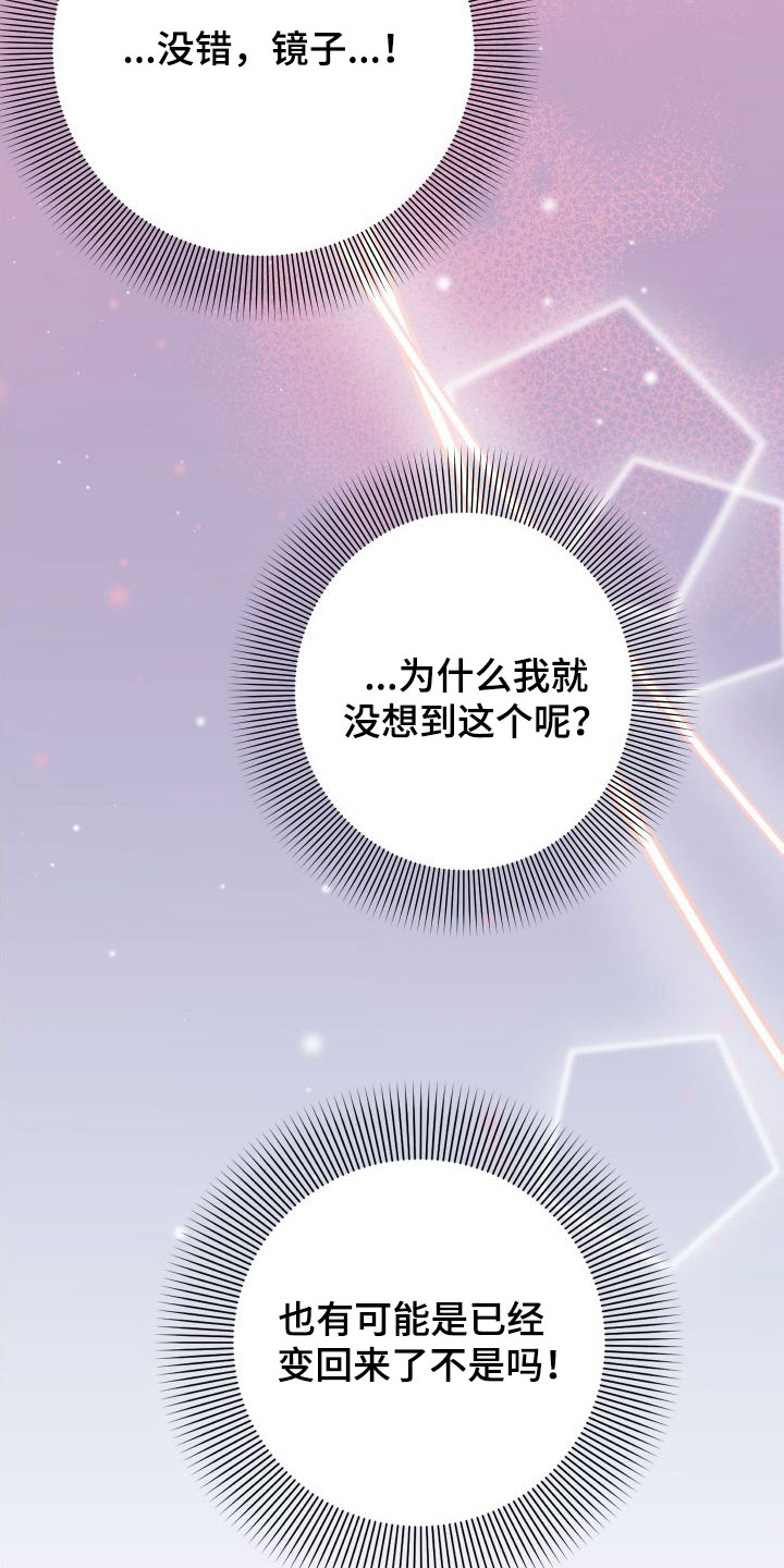 第41章：变回来了6
