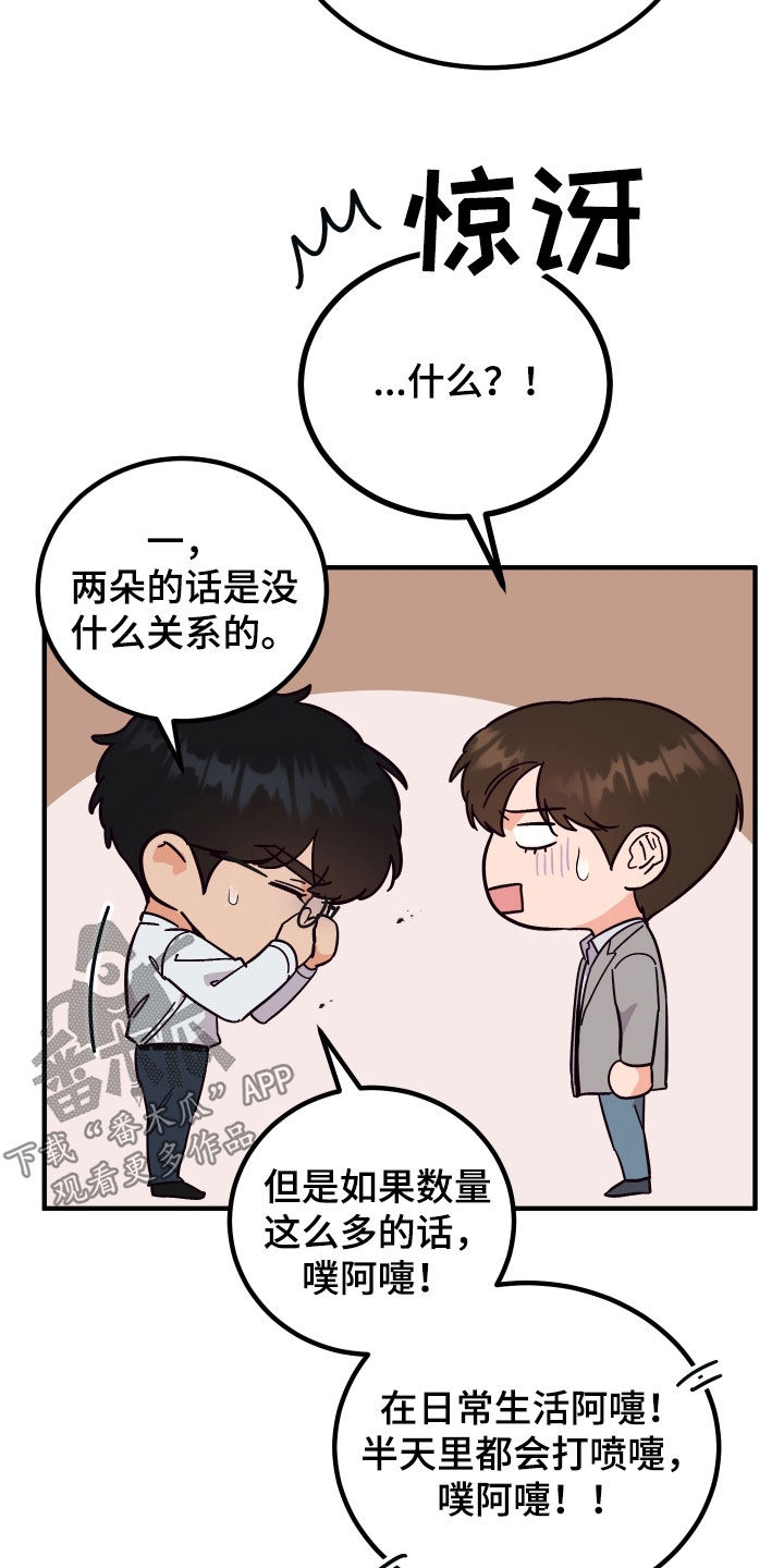 第50章：花粉过敏11