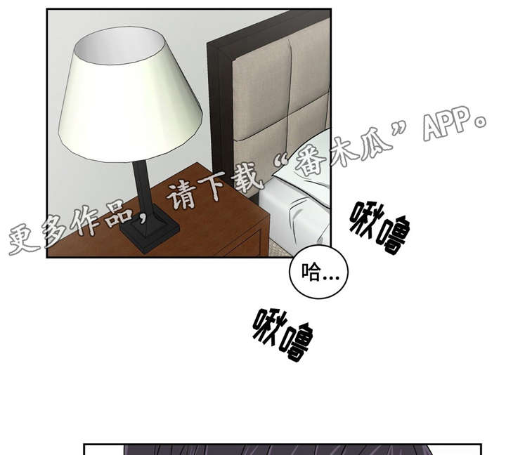 第16章：有喜欢的人了5