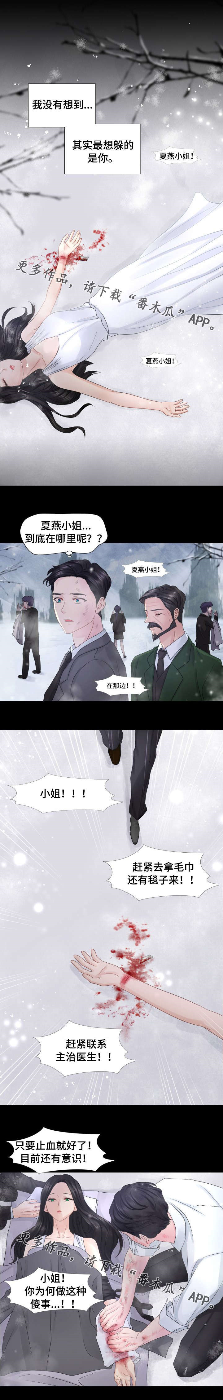 第37章：为他痴狂2