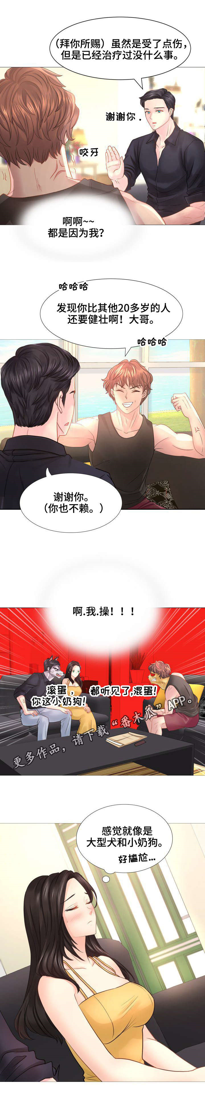 第27章：特殊条款4