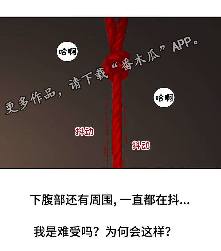第16章：做梦5