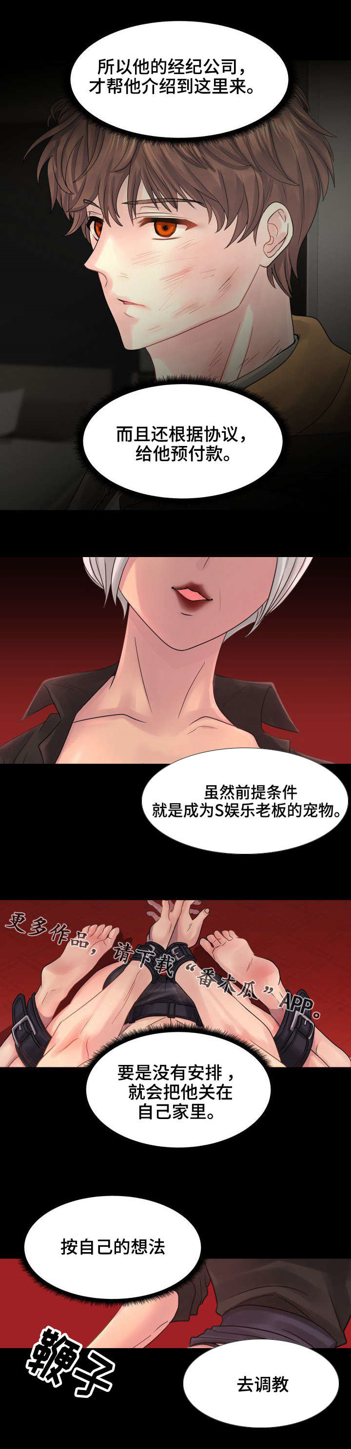 第29章：宠物1