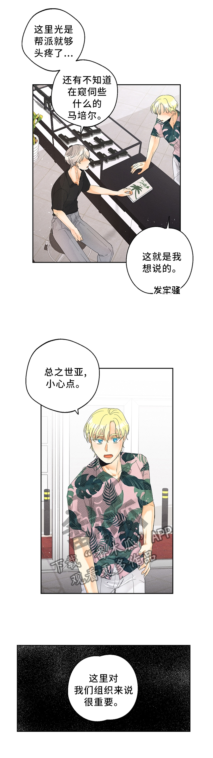 第42章：我从不后悔5