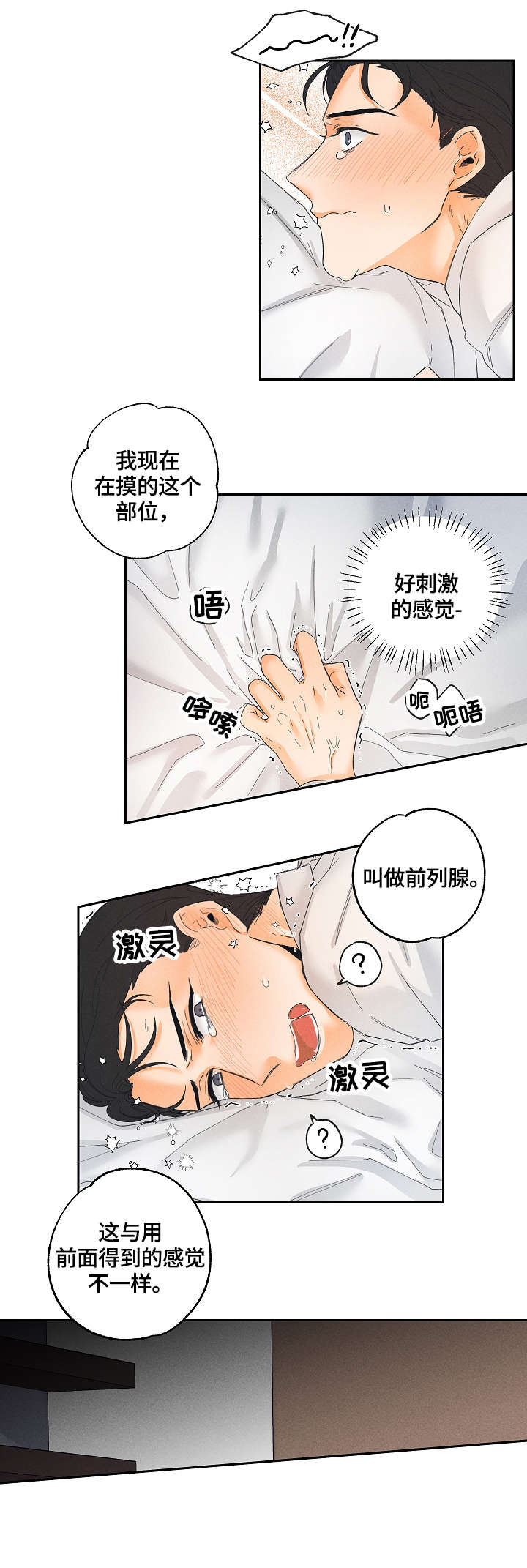 第3章：用途9