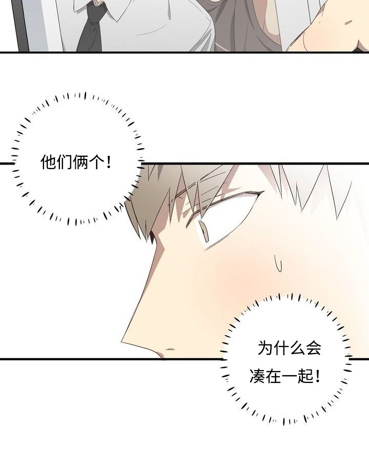 第30章：详聊15