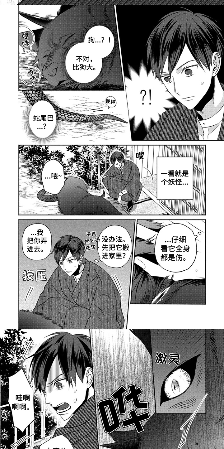 第1章：特殊体质5