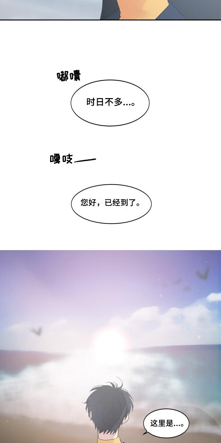 第3章：诊断11