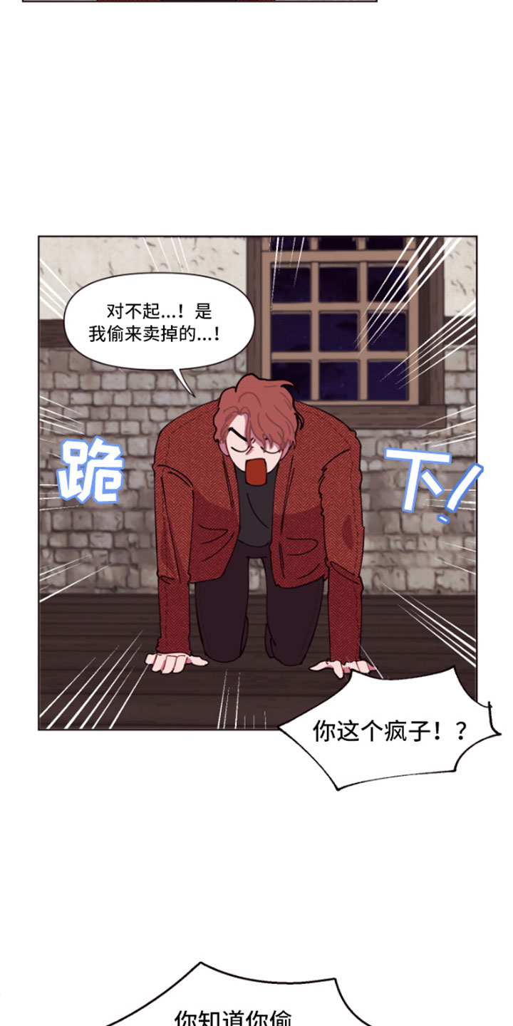 第3章：失窃的真相16