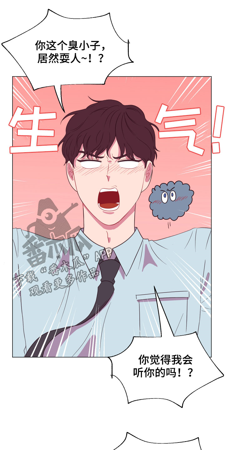 第13章：大项目6