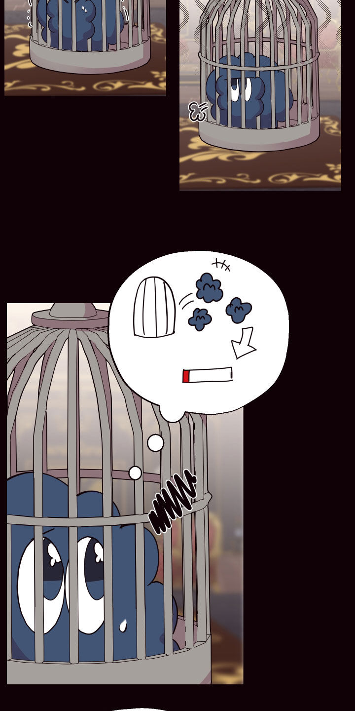 第62章：门开了12