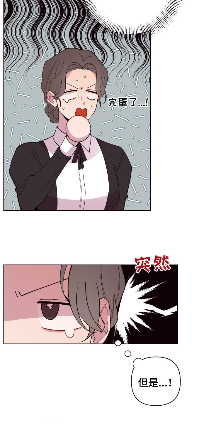 第65章：真假侍女23