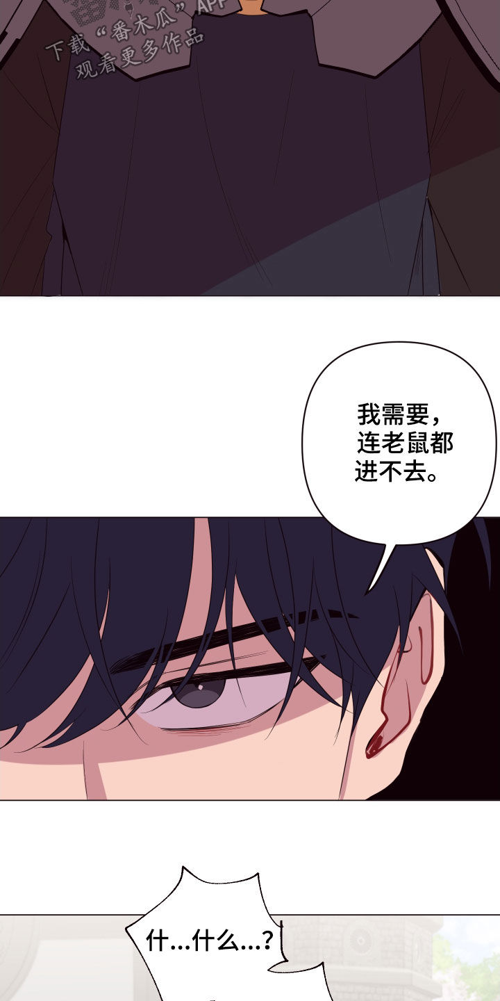 第55章：最后一次机会20