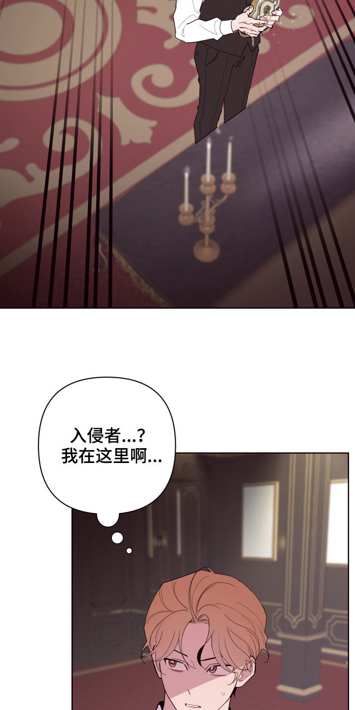 第65章：真假侍女20