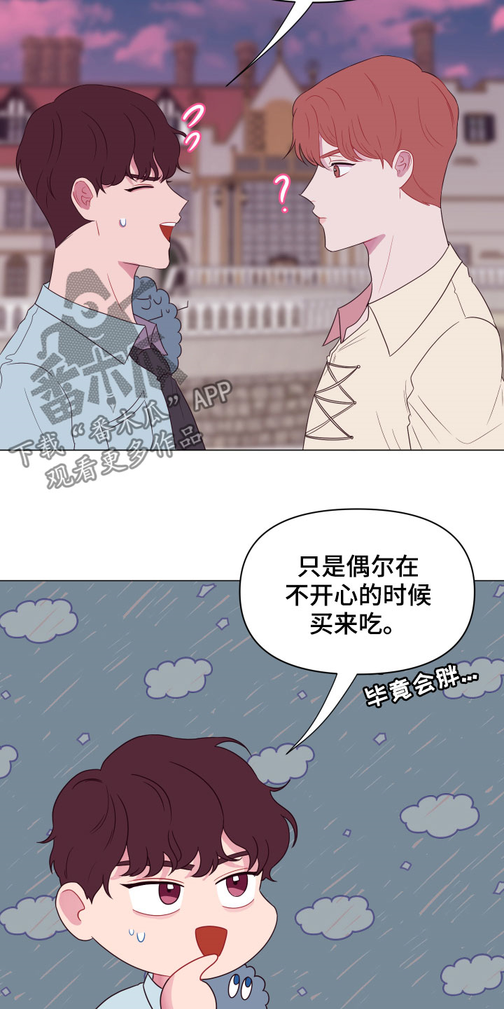 第13章：大项目15