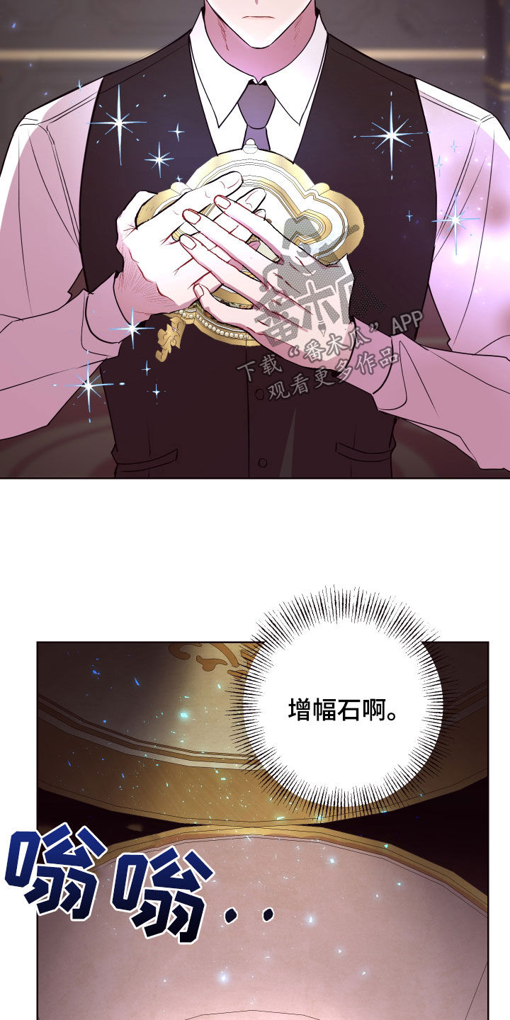 第65章：真假侍女17