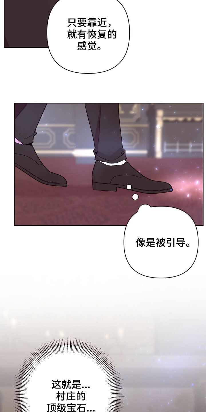 第65章：真假侍女15