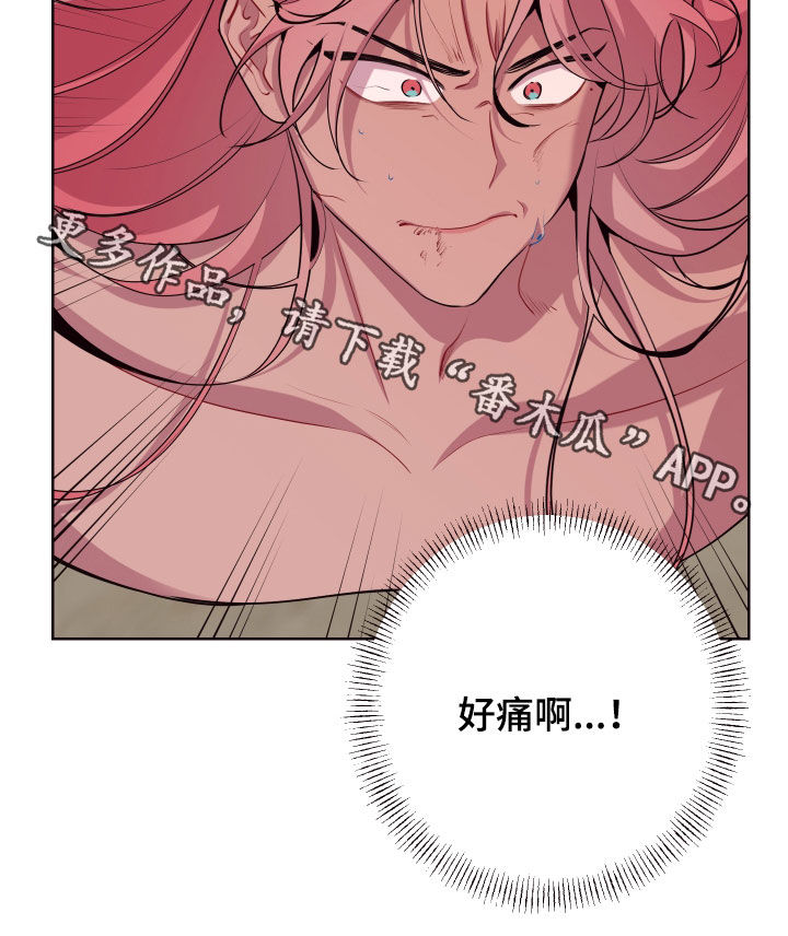 第63章：没有解药17