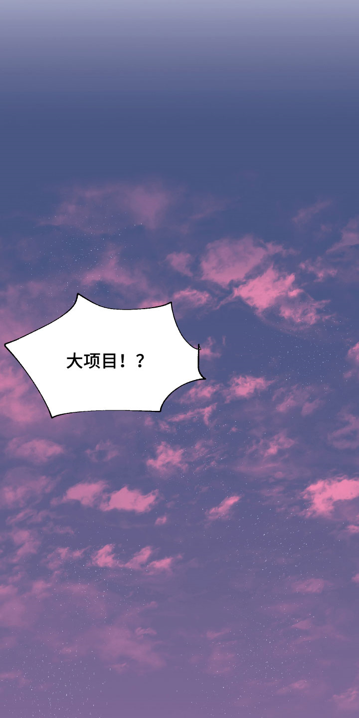 第13章：大项目20