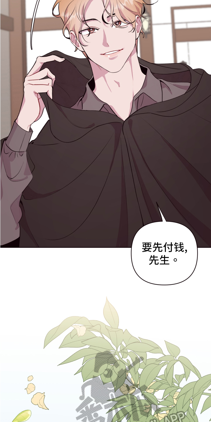 第73章：【番外】魔力回归15