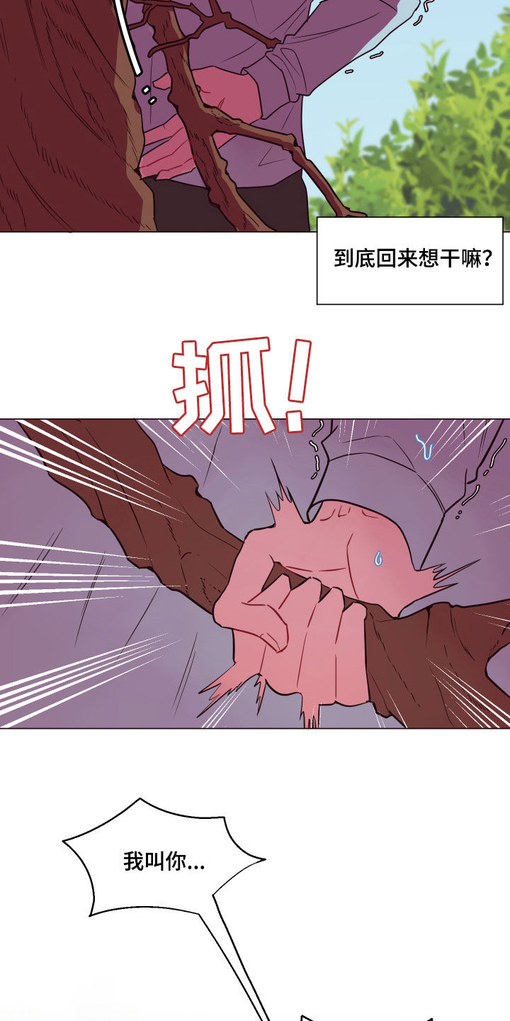 第17章：勇气17