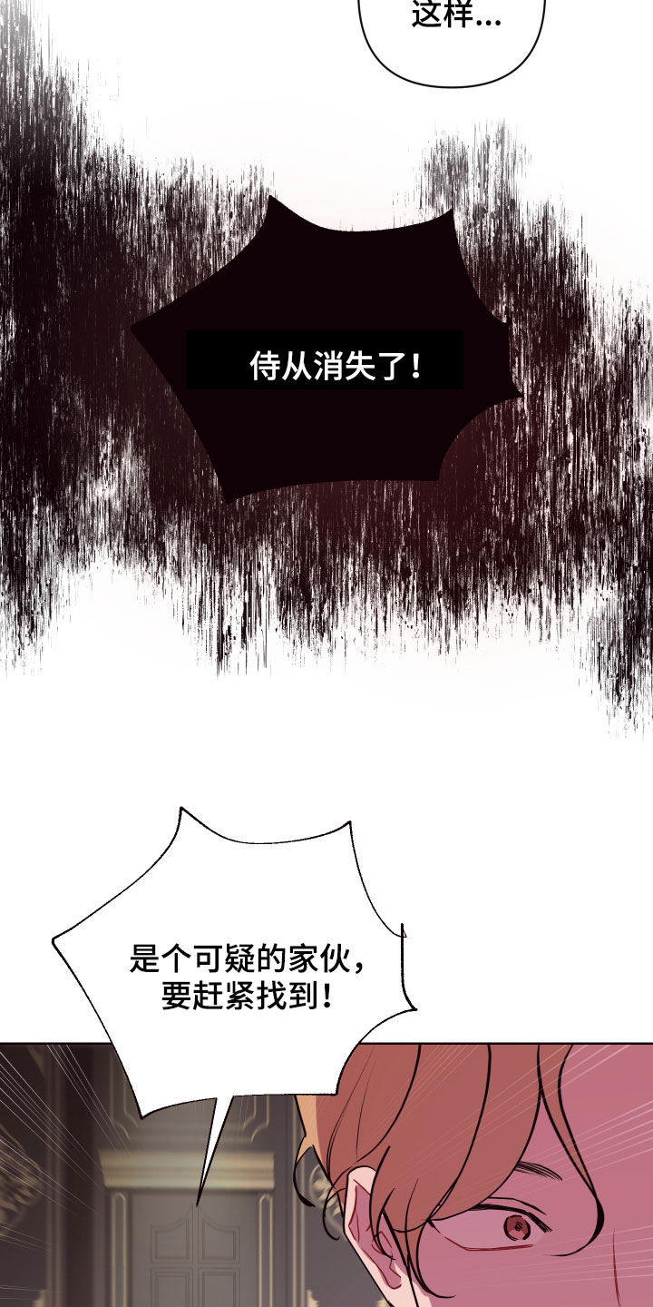 第65章：真假侍女9