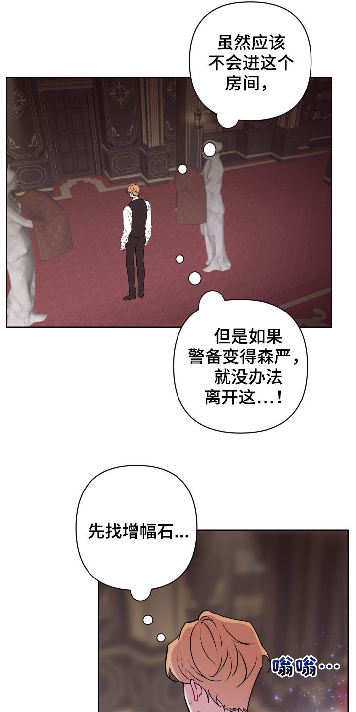 第65章：真假侍女11