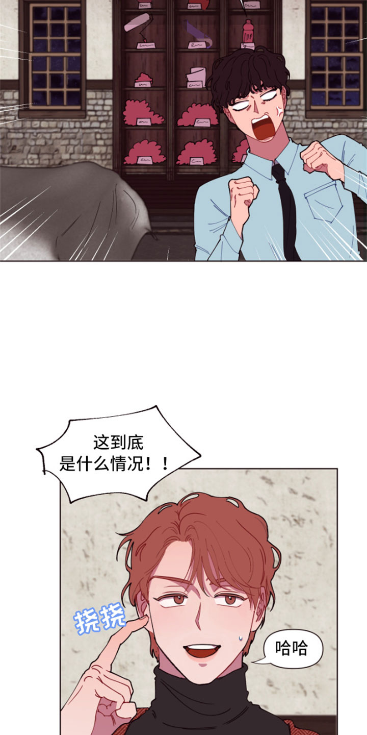 第3章：失窃的真相13