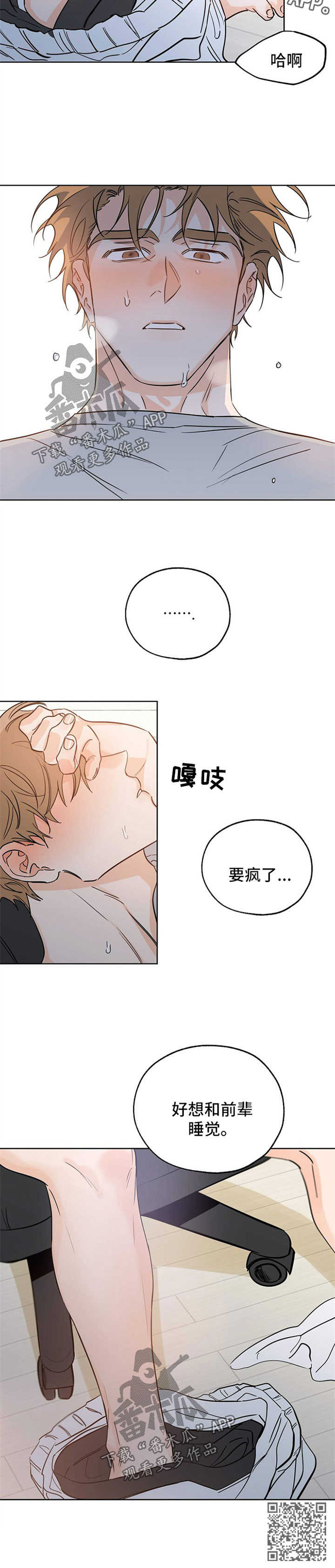第39章：遐想7