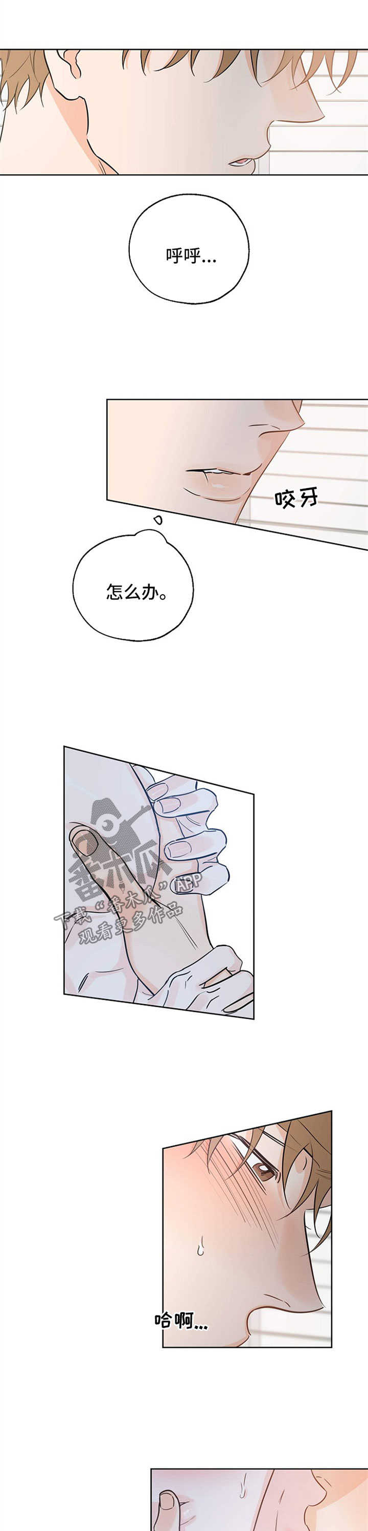 第39章：遐想0
