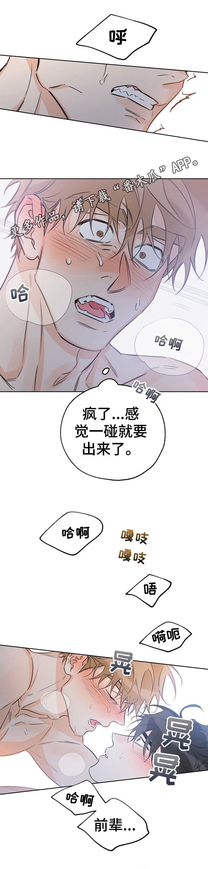 第59章：高兴疯了0