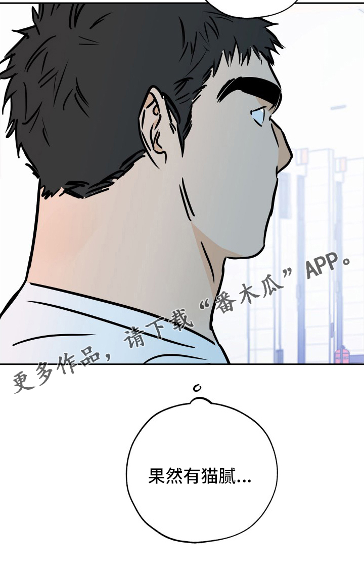 第130章：猫腻26