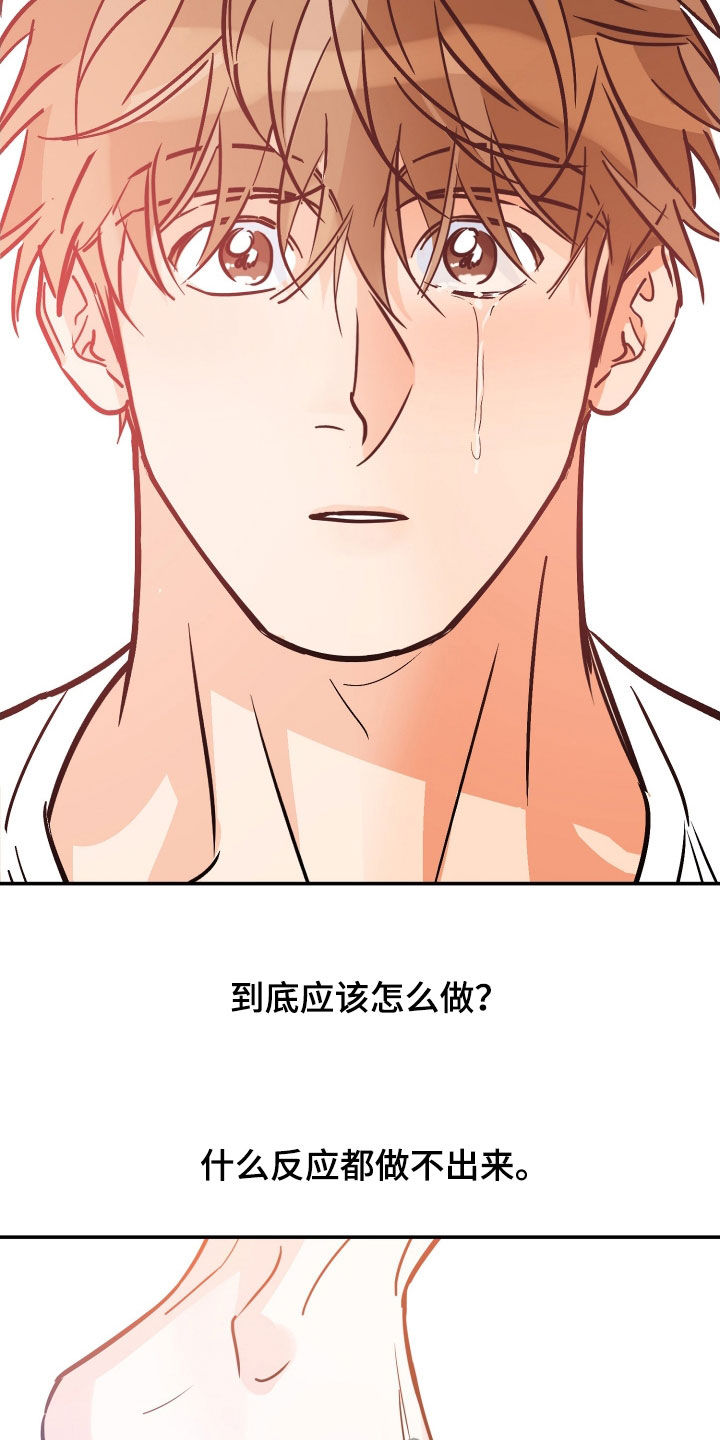 第185章：【番外】最好的告白17