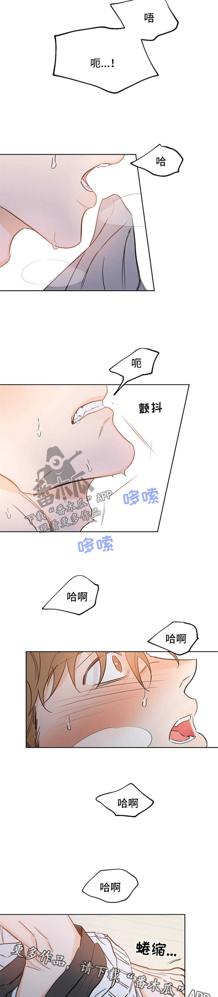 第39章：遐想6
